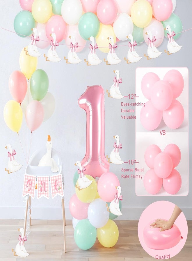 Kriyokiaa One Silly Goose Birthday Decor for Girls First Birthday Party Decorations with Balloon Garland, Highchair Banner Silly Goose Theme Cardboard,Banner, Cake Topper - Image 4